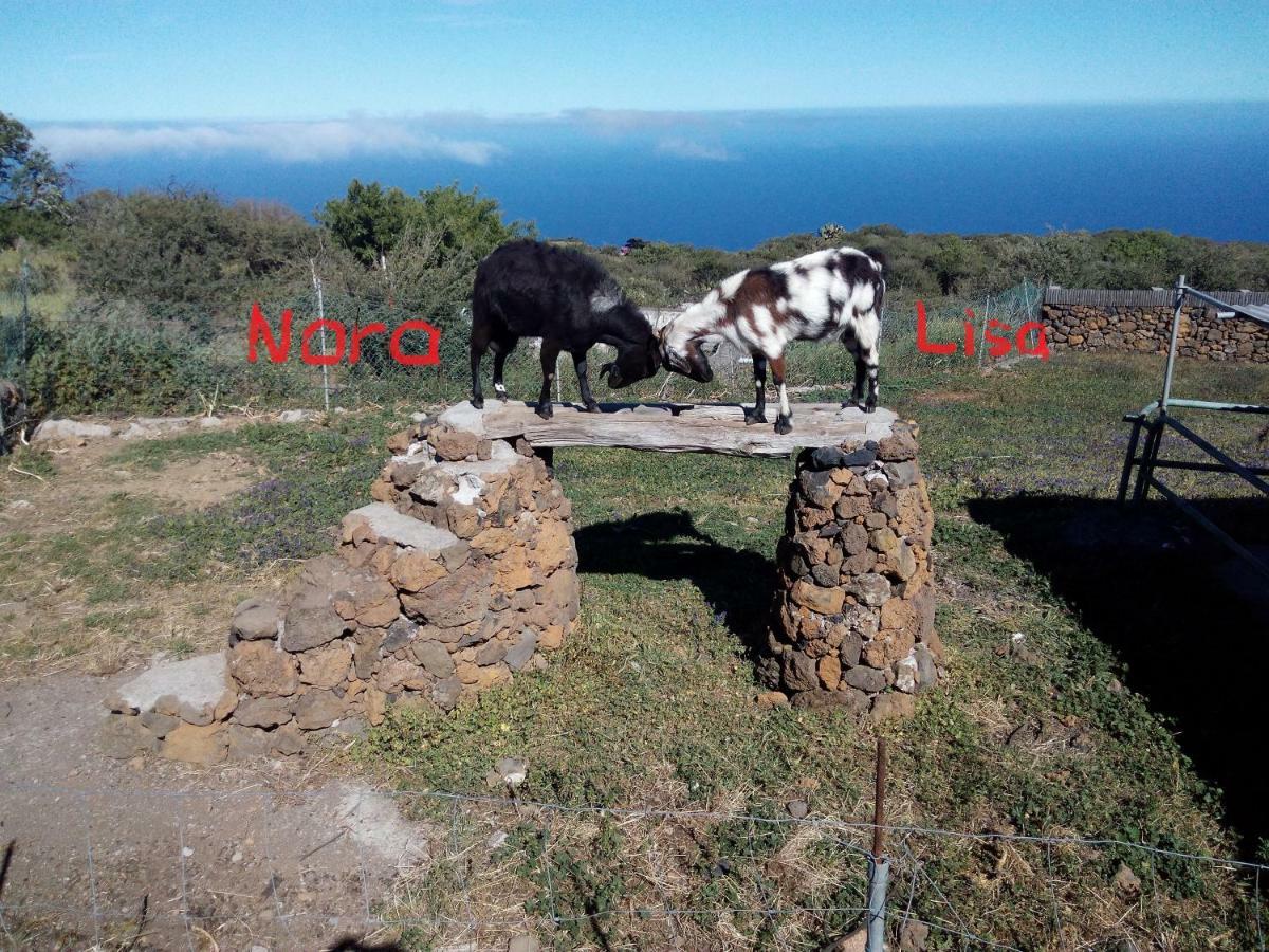 Finca La Ramona Isora Esterno foto
